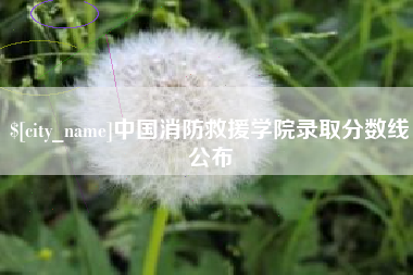 黄山中国消防救援学院录取分数线公布