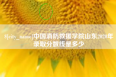 黄山中国消防救援学院山东2020年录取分数线是多少