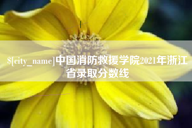 黄山中国消防救援学院2021年浙江省录取分数线