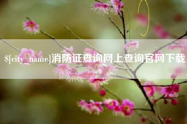 黄山消防证查询网上查询官网下载