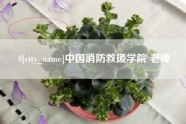 黄山中国消防救援学院 老师