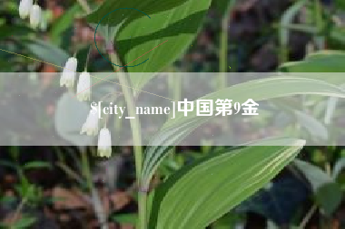 黄山中国第9金