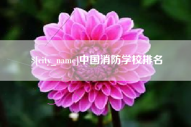 黄山中国消防学校排名