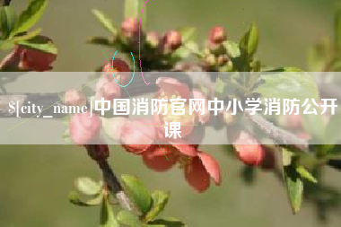 黄山中国消防官网中小学消防公开课