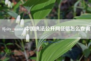 黄山中国执法公开网征信怎么查询