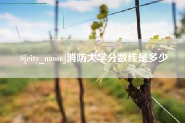 黄山消防大学分数线是多少