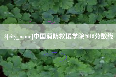 黄山中国消防救援学院2018分数线