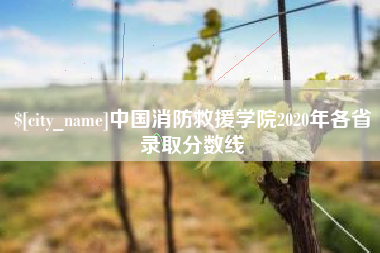 黄山中国消防救援学院2020年各省录取分数线
