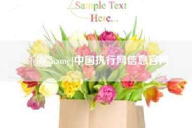 黄山中国执行网信息官网