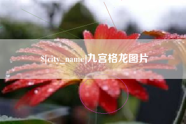 黄山九宫格龙图片