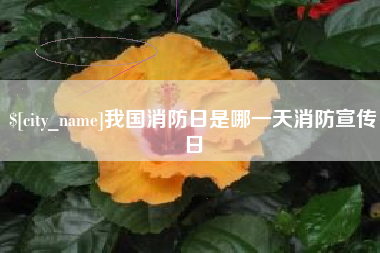 黄山我国消防日是哪一天消防宣传日