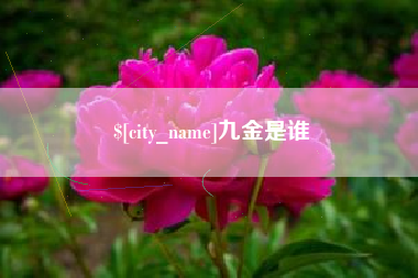 黄山九金是谁