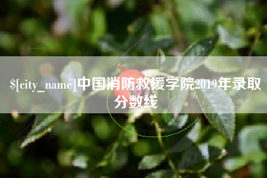 黄山中国消防救援学院2019年录取分数线