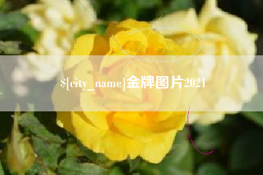 黄山金牌图片2021