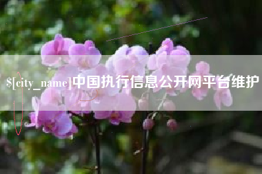 黄山中国执行信息公开网平台维护