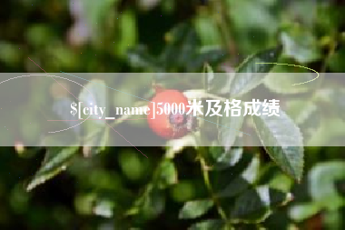 黄山5000米及格成绩
