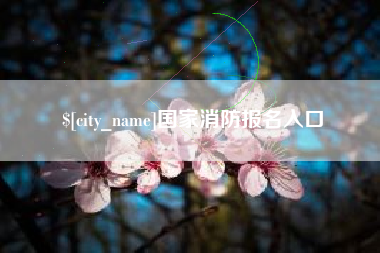 黄山国家消防报名入口