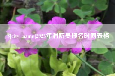 黄山2025年消防员报名时间表格