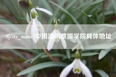 黄山中国消防救援学院具体地址