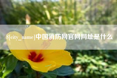 黄山中国消防网官网网址是什么