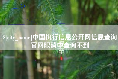 黄山中国执行信息公开网信息查询官网限消中查询不到
