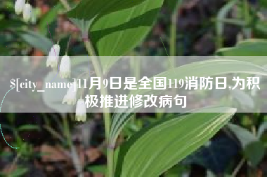 黄山11月9日是全国119消防日,为积极推进修改病句