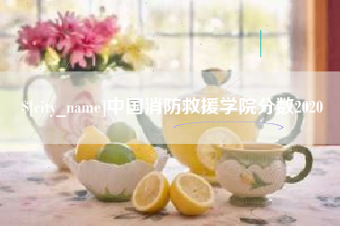 黄山中国消防救援学院分数2020