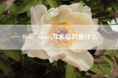 黄山九金指的是什么