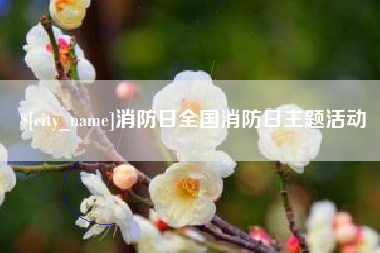 黄山消防日全国消防日主题活动
