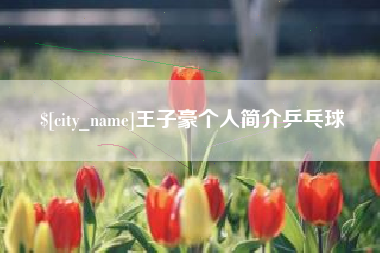 黄山王子豪个人简介乒乓球