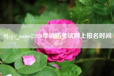 黄山2020年消防考试网上报名时间