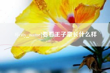 黄山看看王子豪长什么样
