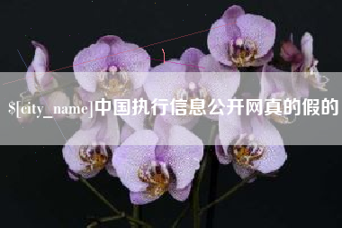 黄山中国执行信息公开网真的假的