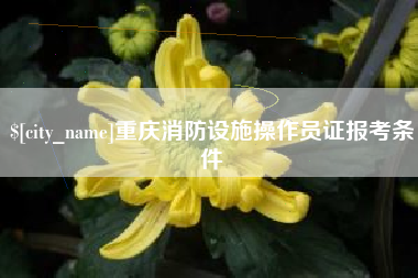 黄山重庆消防设施操作员证报考条件