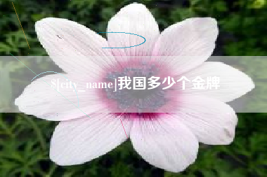 黄山我国多少个金牌