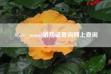 黄山消防证查询网上查询