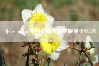 黄山中国消防救援学院属于985吗