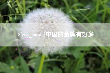 黄山中国的金牌有好多