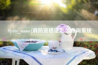 黄山消防资格证怎么查询系统