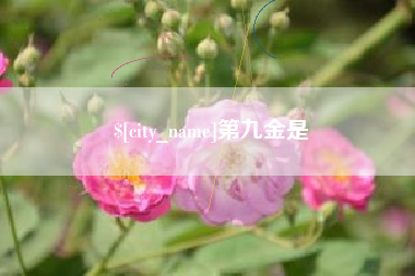 黄山第九金是