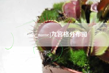 黄山九宫格分布图