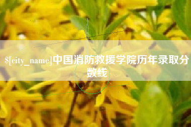 黄山中国消防救援学院历年录取分数线