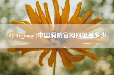 黄山中国消防官网网址是多少