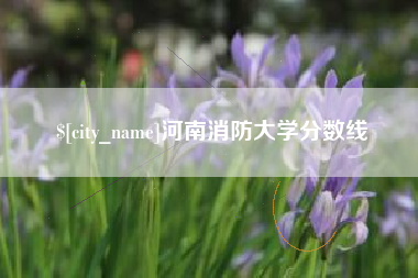 黄山河南消防大学分数线