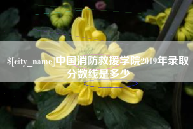 黄山中国消防救援学院2019年录取分数线是多少