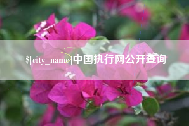 黄山中国执行网公开查询