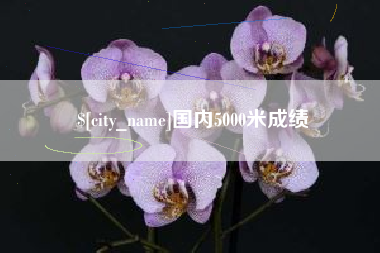 黄山国内5000米成绩
