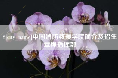 黄山中国消防救援学院简介及招生章程指挥部