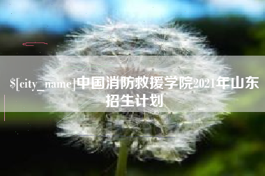 黄山中国消防救援学院2021年山东招生计划