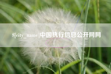 黄山中国执行信息公开网网